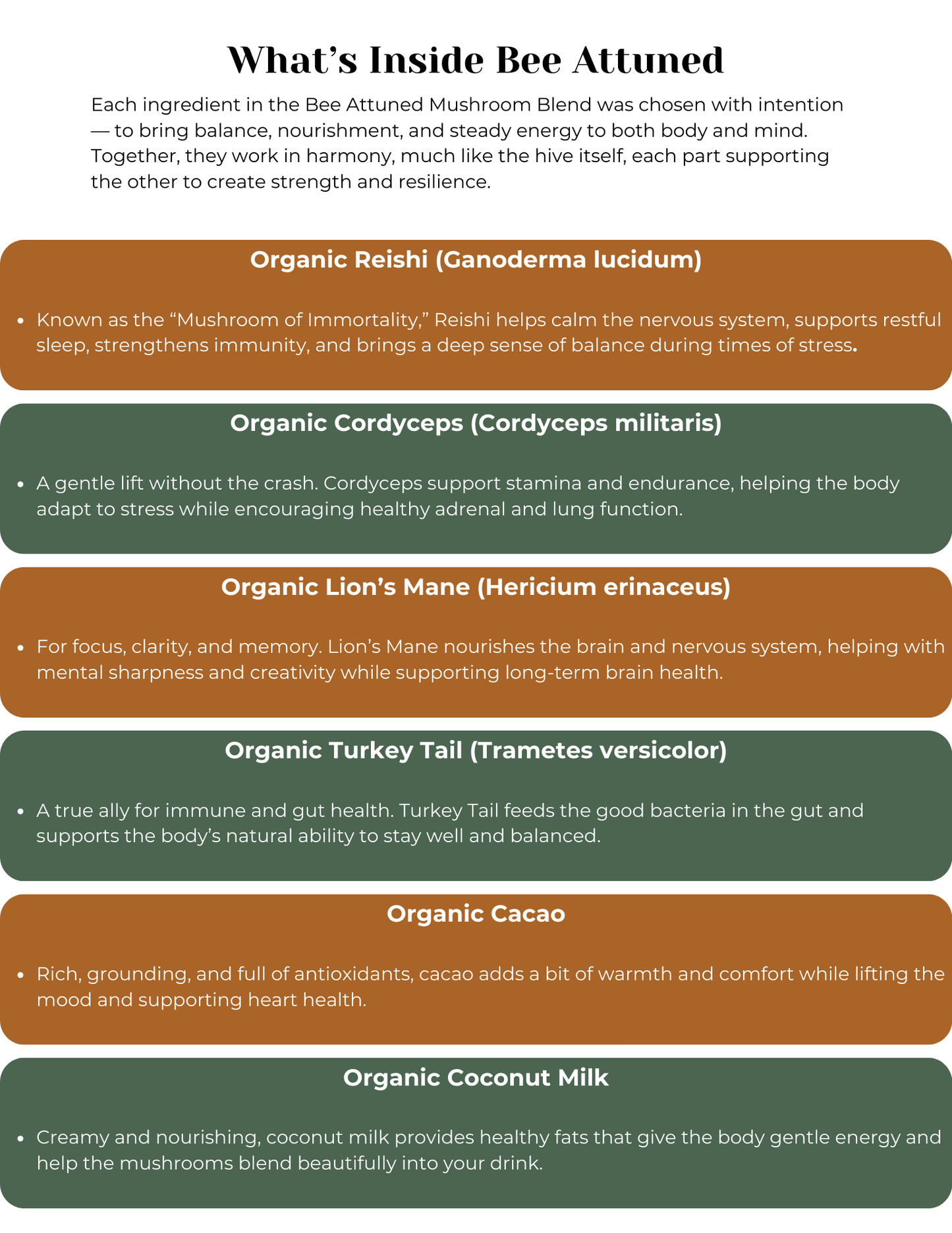 Bee Attuned Mushroom Blend Recipe (E-Book)