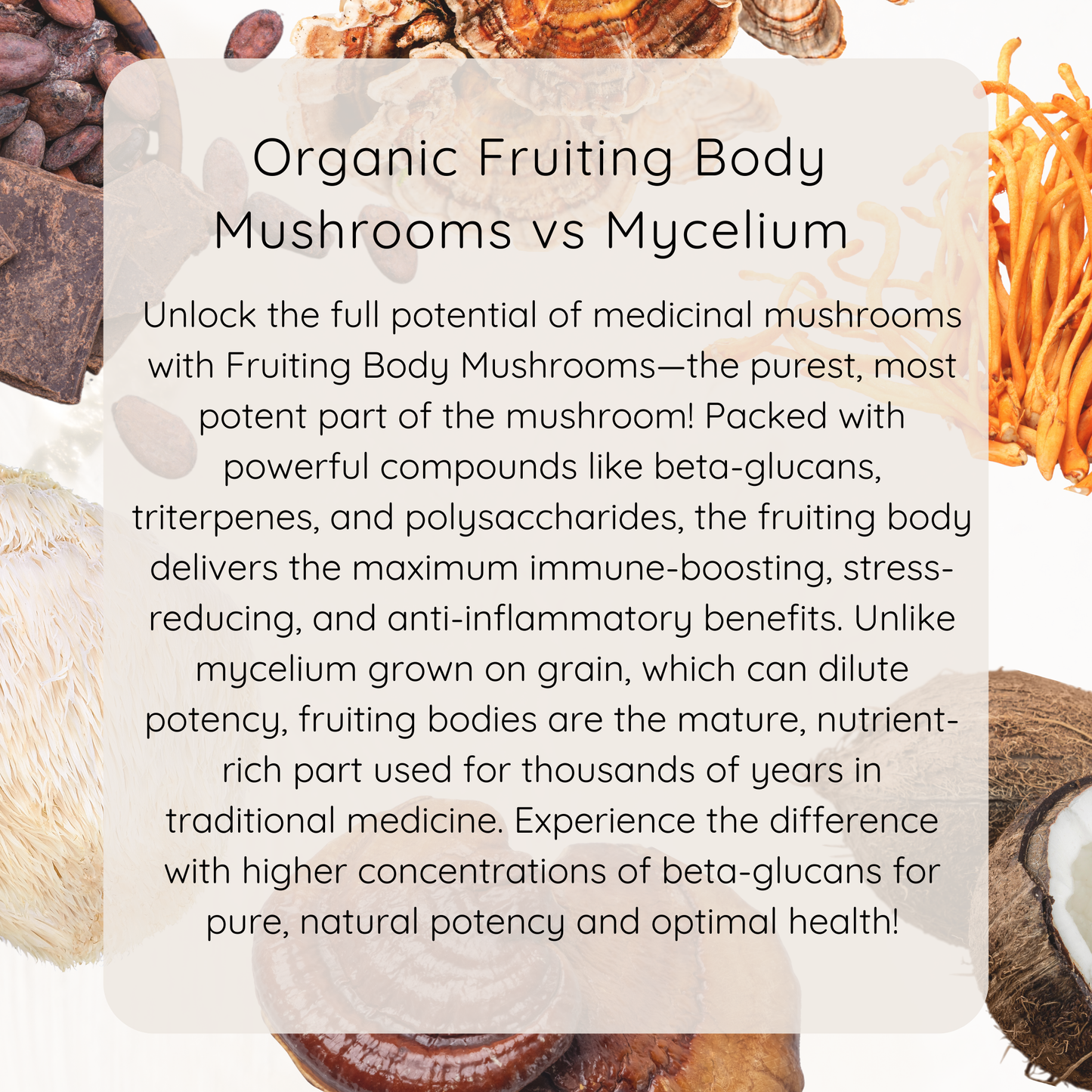 Bee Attuned Mushroom Blend